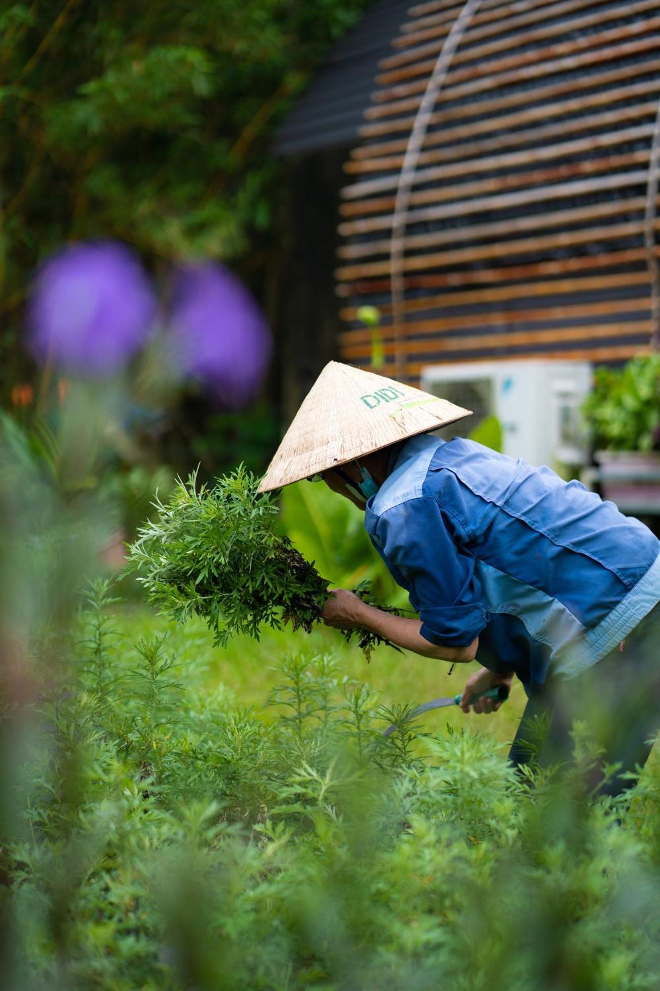 Chay Lap Farmstay Phong Nha Da Lon Luaran gambar